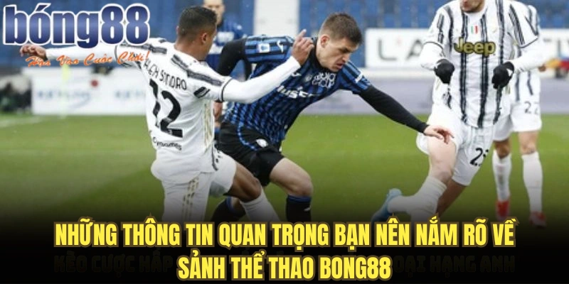 Những thông tin quan trọng bạn nên nắm rõ về sảnh thể thao Bong88